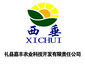 礼县嘉丰农业科技开发有限责任公司